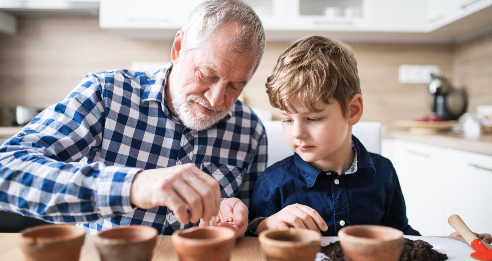 Grandpa planting seeds with grandson